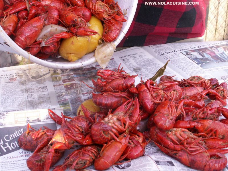 Boiled Crawfish