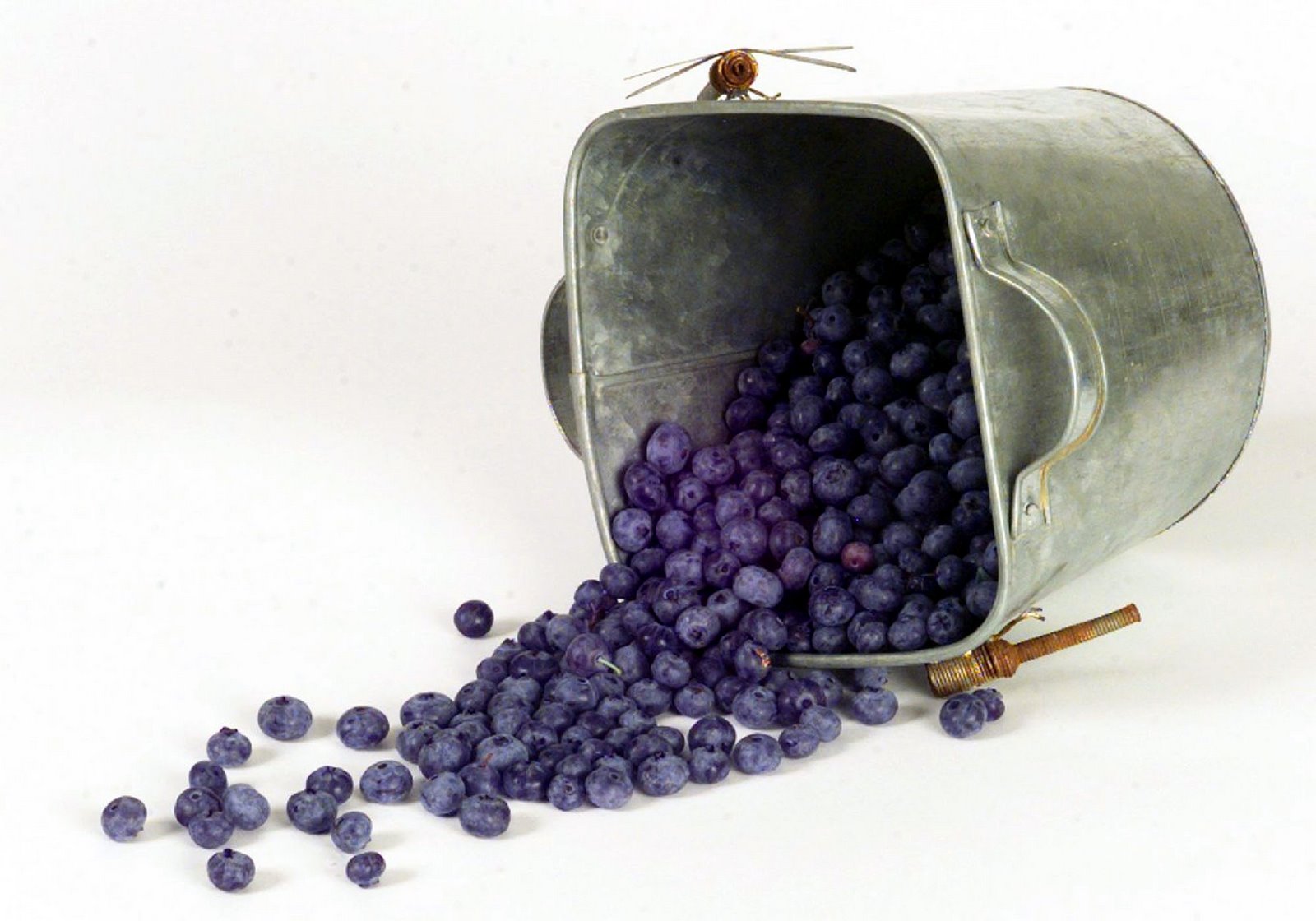 Southern-style Blueberry Pie