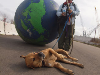 Erik Bendl and his dog