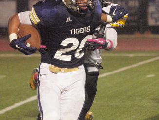 Hahnville senior Sergio Medina