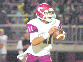 Marquise Darensbourg